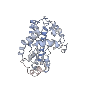6775_5xth_w_v1-3
Cryo-EM structure of human respiratory supercomplex I1III2IV1