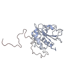 10622_6xu6_AA_v1-2
Drosophila melanogaster Testis 80S ribosome