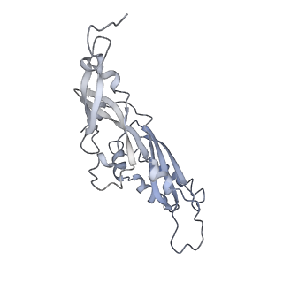 10622_6xu6_AB_v1-2
Drosophila melanogaster Testis 80S ribosome