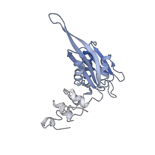 10622_6xu6_AC_v1-2
Drosophila melanogaster Testis 80S ribosome