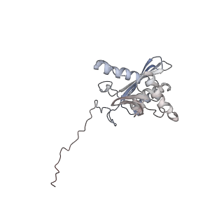 10622_6xu6_AD_v1-2
Drosophila melanogaster Testis 80S ribosome