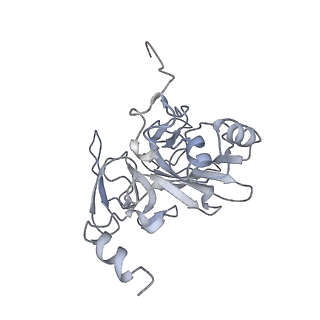 10622_6xu6_AE_v1-2
Drosophila melanogaster Testis 80S ribosome