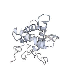 10622_6xu6_AF_v1-2
Drosophila melanogaster Testis 80S ribosome