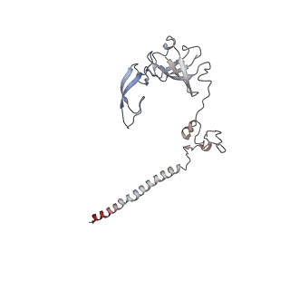 10622_6xu6_AG_v1-2
Drosophila melanogaster Testis 80S ribosome