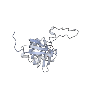 10622_6xu6_AH_v1-2
Drosophila melanogaster Testis 80S ribosome