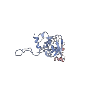 10622_6xu6_AI_v1-2
Drosophila melanogaster Testis 80S ribosome