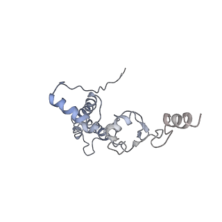 10622_6xu6_AJ_v1-2
Drosophila melanogaster Testis 80S ribosome