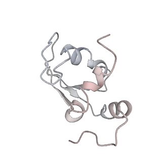 10622_6xu6_AK_v1-2
Drosophila melanogaster Testis 80S ribosome