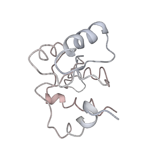 10622_6xu6_AM_v1-2
Drosophila melanogaster Testis 80S ribosome