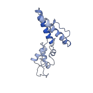 10622_6xu6_AN_v1-2
Drosophila melanogaster Testis 80S ribosome