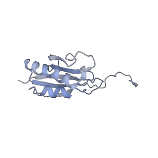 10622_6xu6_AO_v1-2
Drosophila melanogaster Testis 80S ribosome