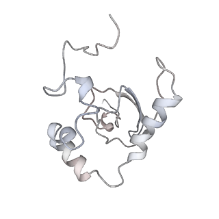 10622_6xu6_AP_v1-2
Drosophila melanogaster Testis 80S ribosome