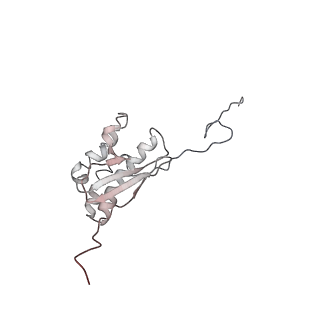 10622_6xu6_AQ_v1-2
Drosophila melanogaster Testis 80S ribosome