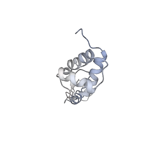 10622_6xu6_AR_v1-2
Drosophila melanogaster Testis 80S ribosome