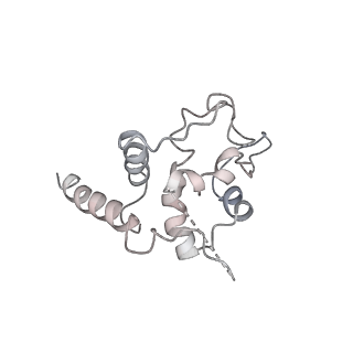 10622_6xu6_AT_v1-2
Drosophila melanogaster Testis 80S ribosome