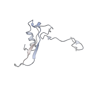 10622_6xu6_AV_v1-2
Drosophila melanogaster Testis 80S ribosome
