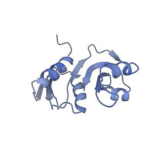 10622_6xu6_AW_v1-2
Drosophila melanogaster Testis 80S ribosome