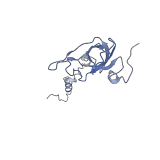 10622_6xu6_AX_v1-2
Drosophila melanogaster Testis 80S ribosome