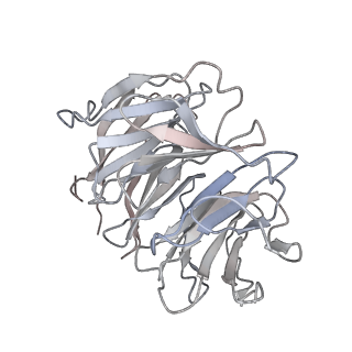 10622_6xu6_Ag_v1-2
Drosophila melanogaster Testis 80S ribosome