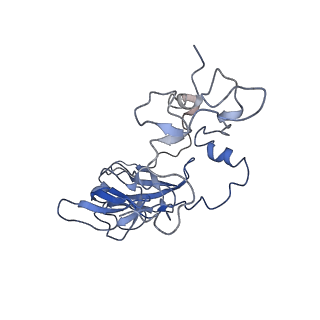 10622_6xu6_CA_v1-2
Drosophila melanogaster Testis 80S ribosome