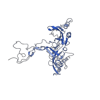 10622_6xu6_CB_v1-2
Drosophila melanogaster Testis 80S ribosome