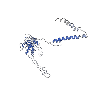 10622_6xu6_CC_v1-2
Drosophila melanogaster Testis 80S ribosome