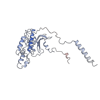 10622_6xu6_CD_v1-2
Drosophila melanogaster Testis 80S ribosome