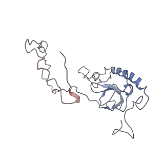10622_6xu6_CE_v1-2
Drosophila melanogaster Testis 80S ribosome