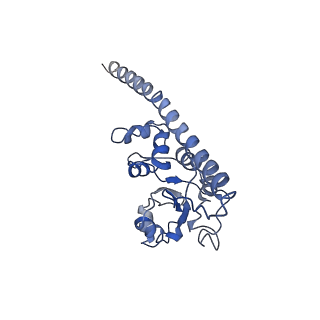 10622_6xu6_CF_v1-2
Drosophila melanogaster Testis 80S ribosome