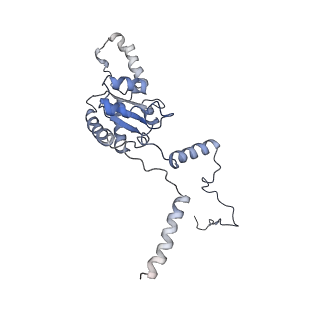 10622_6xu6_CG_v1-2
Drosophila melanogaster Testis 80S ribosome