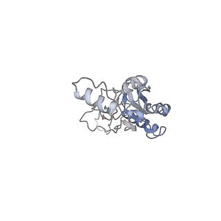 10622_6xu6_CI_v1-2
Drosophila melanogaster Testis 80S ribosome