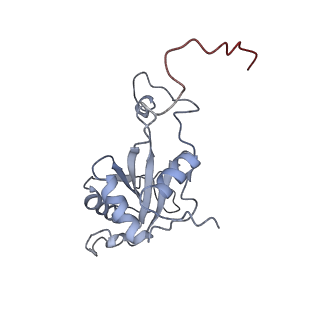 10622_6xu6_CJ_v1-2
Drosophila melanogaster Testis 80S ribosome