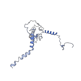 10622_6xu6_CL_v1-2
Drosophila melanogaster Testis 80S ribosome