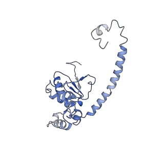 10622_6xu6_CO_v1-2
Drosophila melanogaster Testis 80S ribosome