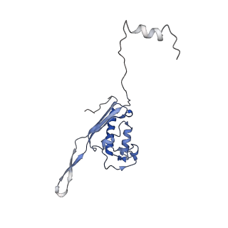 10622_6xu6_CP_v1-2
Drosophila melanogaster Testis 80S ribosome