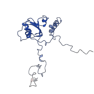 10622_6xu6_CQ_v1-2
Drosophila melanogaster Testis 80S ribosome