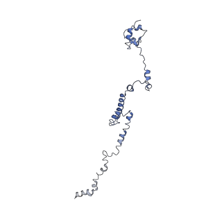 10622_6xu6_CR_v1-2
Drosophila melanogaster Testis 80S ribosome