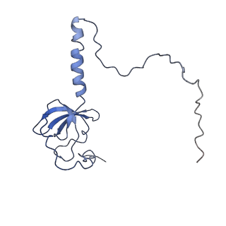10622_6xu6_CT_v1-2
Drosophila melanogaster Testis 80S ribosome