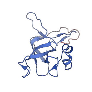10622_6xu6_CV_v1-2
Drosophila melanogaster Testis 80S ribosome