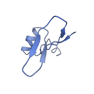 10622_6xu6_CW_v1-2
Drosophila melanogaster Testis 80S ribosome
