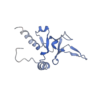 10622_6xu6_CY_v1-2
Drosophila melanogaster Testis 80S ribosome