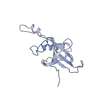 10622_6xu6_CZ_v1-2
Drosophila melanogaster Testis 80S ribosome