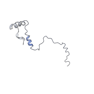 10622_6xu6_Cb_v1-2
Drosophila melanogaster Testis 80S ribosome