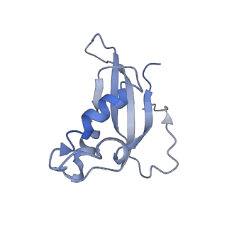 10622_6xu6_Cd_v1-2
Drosophila melanogaster Testis 80S ribosome
