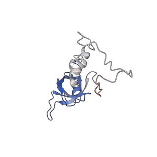 10622_6xu6_Cf_v1-2
Drosophila melanogaster Testis 80S ribosome