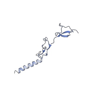 10622_6xu6_Cg_v1-2
Drosophila melanogaster Testis 80S ribosome