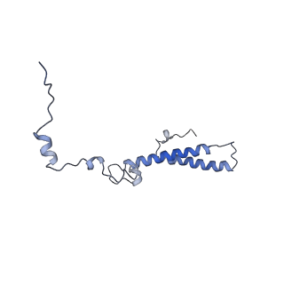10622_6xu6_Ch_v1-2
Drosophila melanogaster Testis 80S ribosome