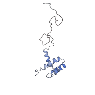 10622_6xu6_Ci_v1-2
Drosophila melanogaster Testis 80S ribosome