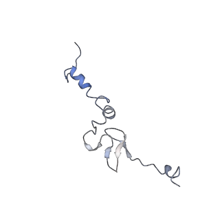 10622_6xu6_Cj_v1-2
Drosophila melanogaster Testis 80S ribosome