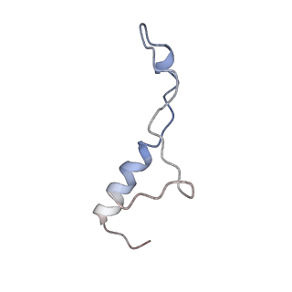 10622_6xu6_Cl_v1-2
Drosophila melanogaster Testis 80S ribosome
